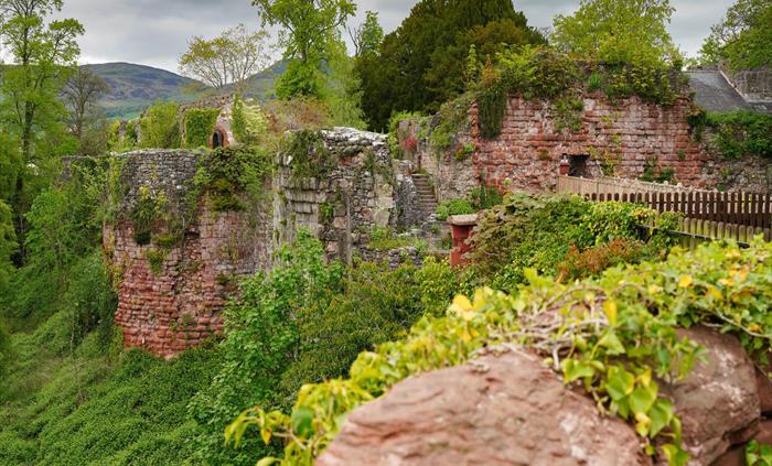 Castle Ruins